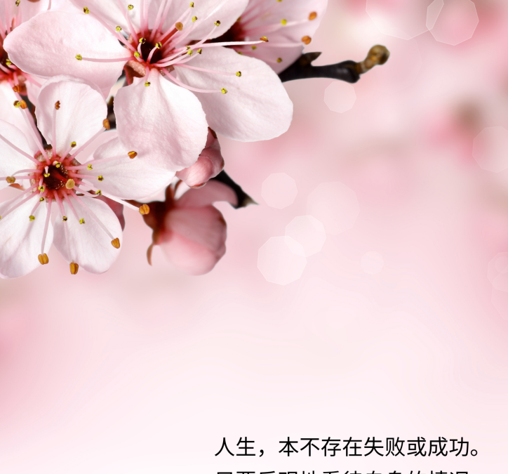 成功的人生