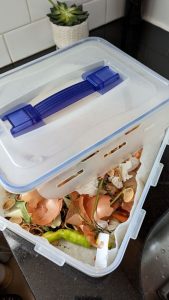 I started collecting food scraps in a container so that I can keep them in a fridge until I can drop them off at a weekly food scrap drop-off site in my neighborhood. 