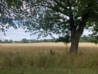 Ich fühlt mich entspannt nach der Meditation 