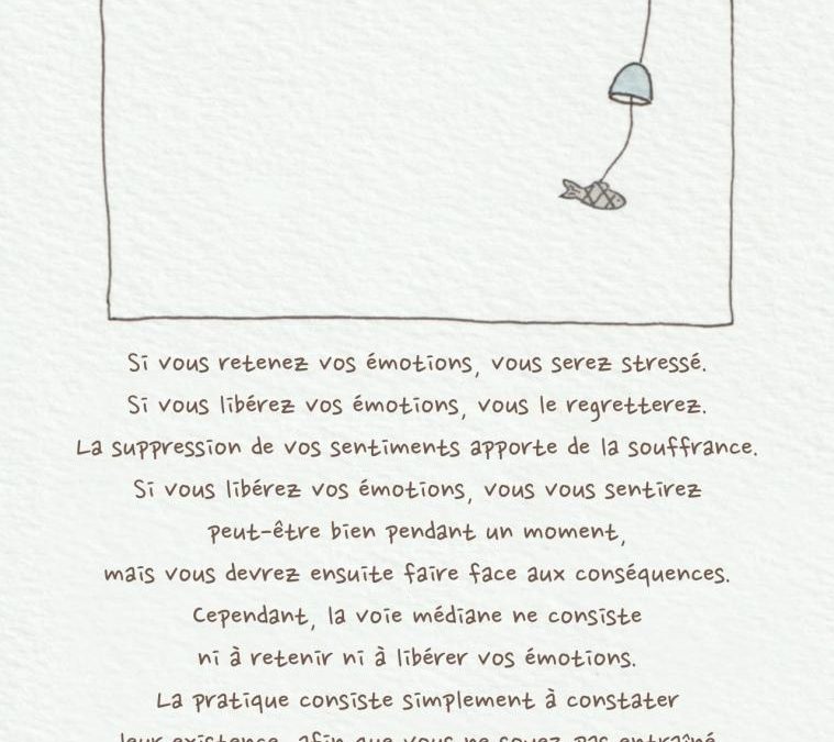№29-Les émotions