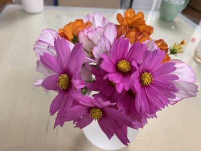 I am so delighted what i have , what i feel today