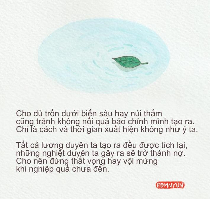 Không thể tránh khỏi quả báo