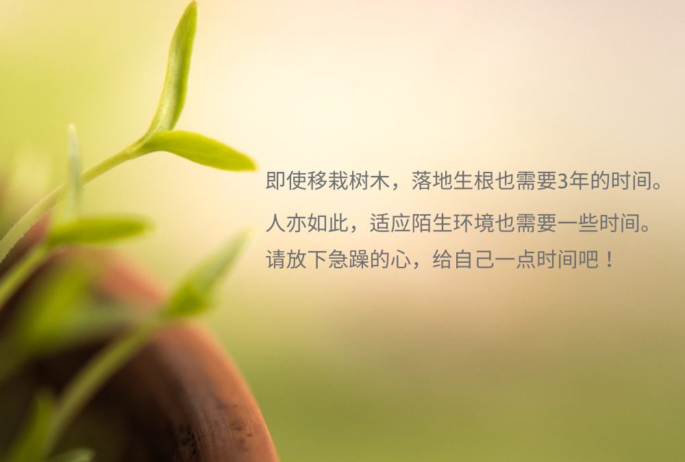 请放下急躁的心