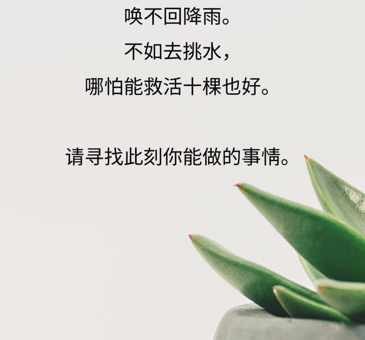请寻找此刻你能做的事情