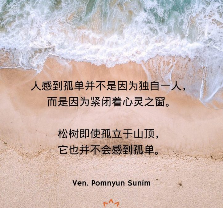 感到孤单并不是因为独自一人
