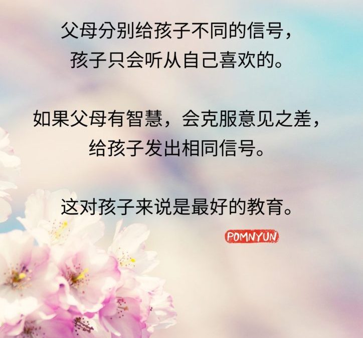 最好的教育
