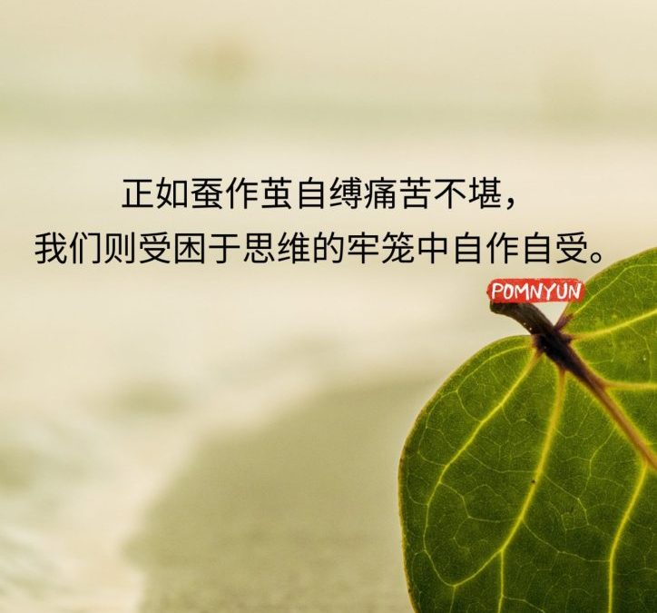 思维的牢笼
