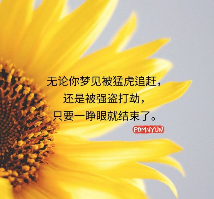 无论梦见什么,只要一睁眼就结束了