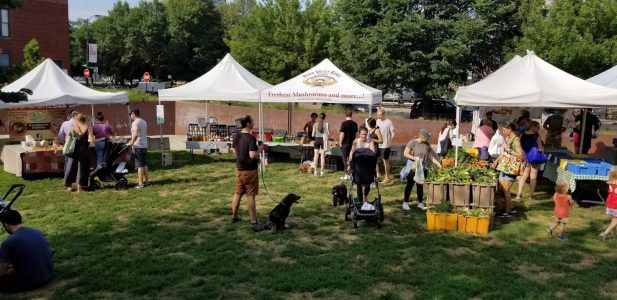 I am glad I buy most of fresh produce from local farmers market; at least during summer months.